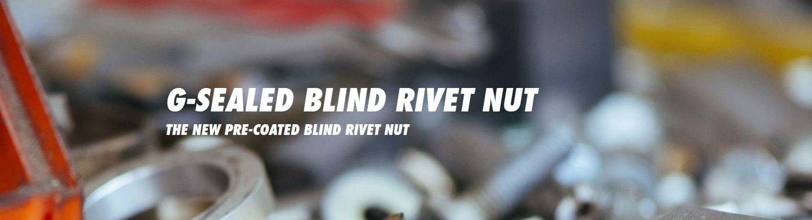 G-SEALED BLIND RIVET NUT