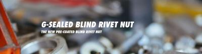 G-SEALED BLIND RIVET NUT